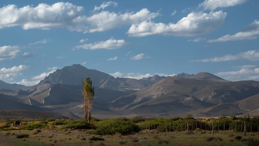 the foothills of Mendoza
