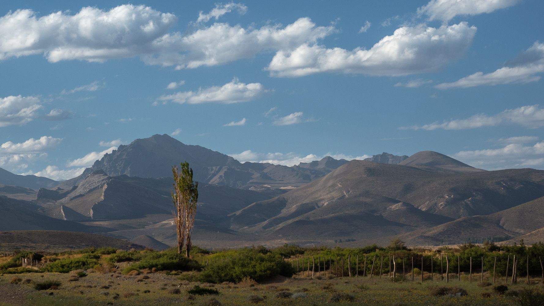 the foothills of Mendoza, Argentina