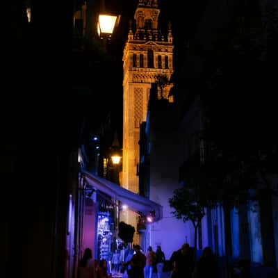 The Giralda between alleys, Spain