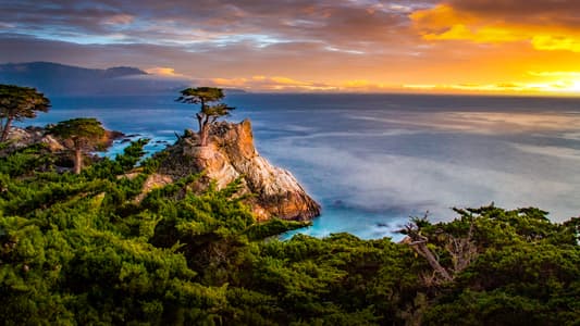 The Lone Cypress, Pebble Beach