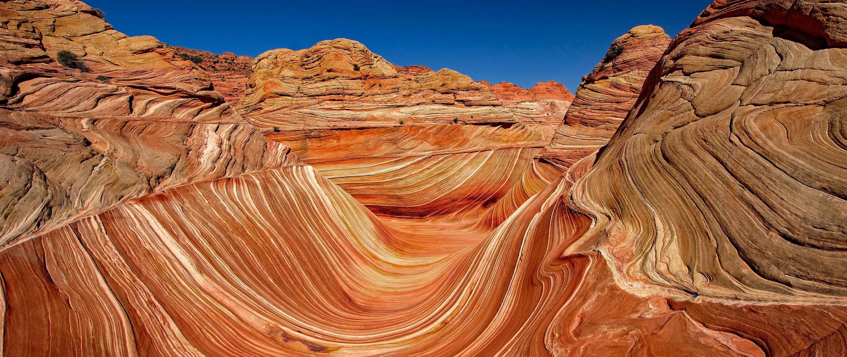 The Wave, USA