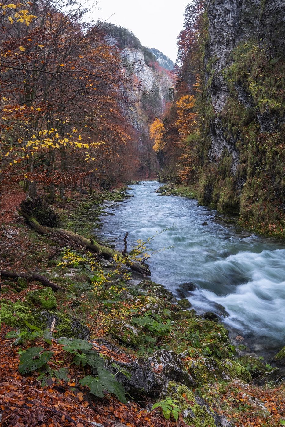 Vordere Tormäuer, Austria