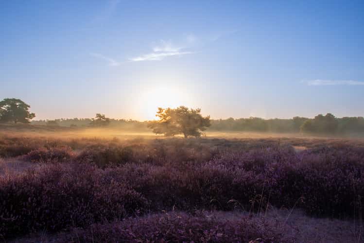 Westruper Heide, Haltern am See
