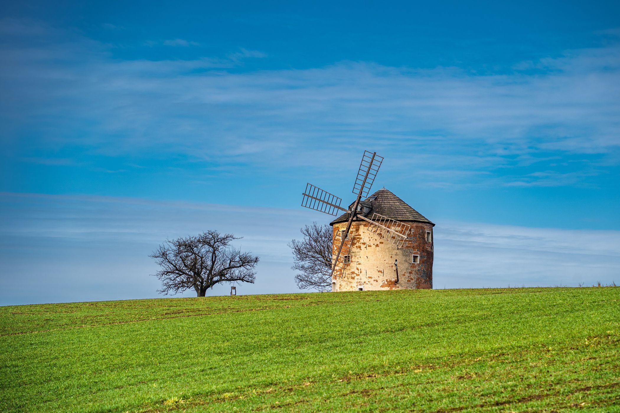 Windmill in the middle of a blooming clover field, Czech Republic