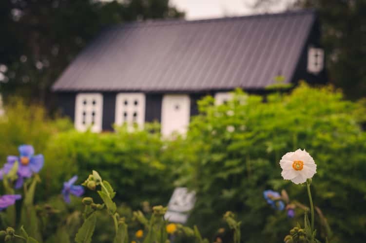 Akureyri Botanical Garden