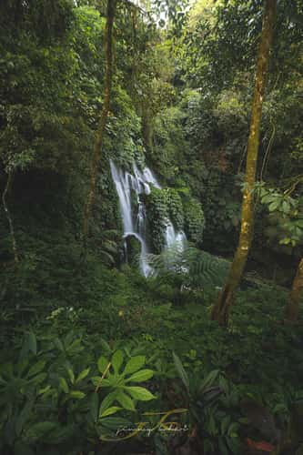 Banyu Wana Amertha Waterfall