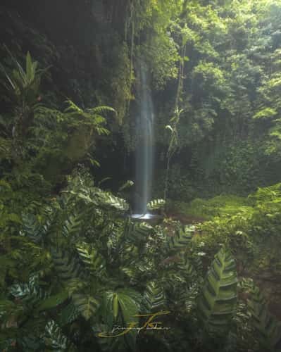 Banyu Wana Amertha Waterfall