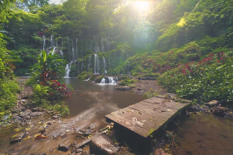 Banyu Wana Amertha Waterfall