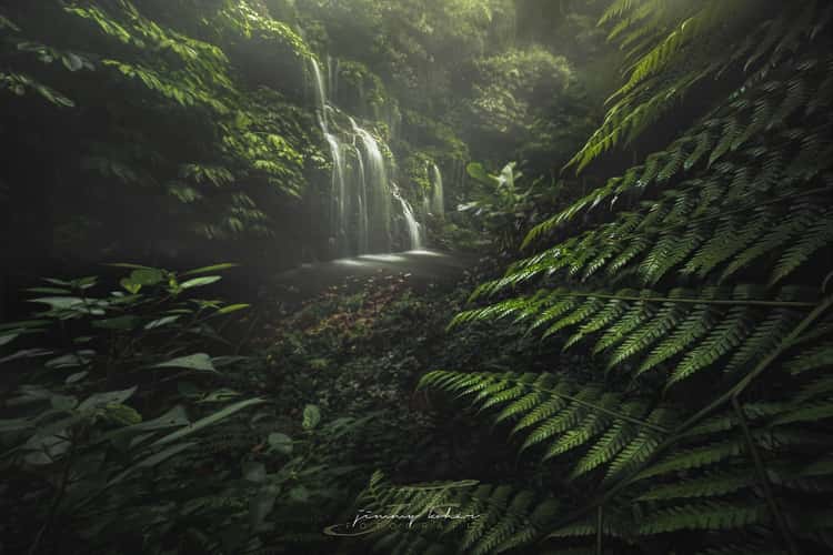 Banyu Wana Amertha Waterfall