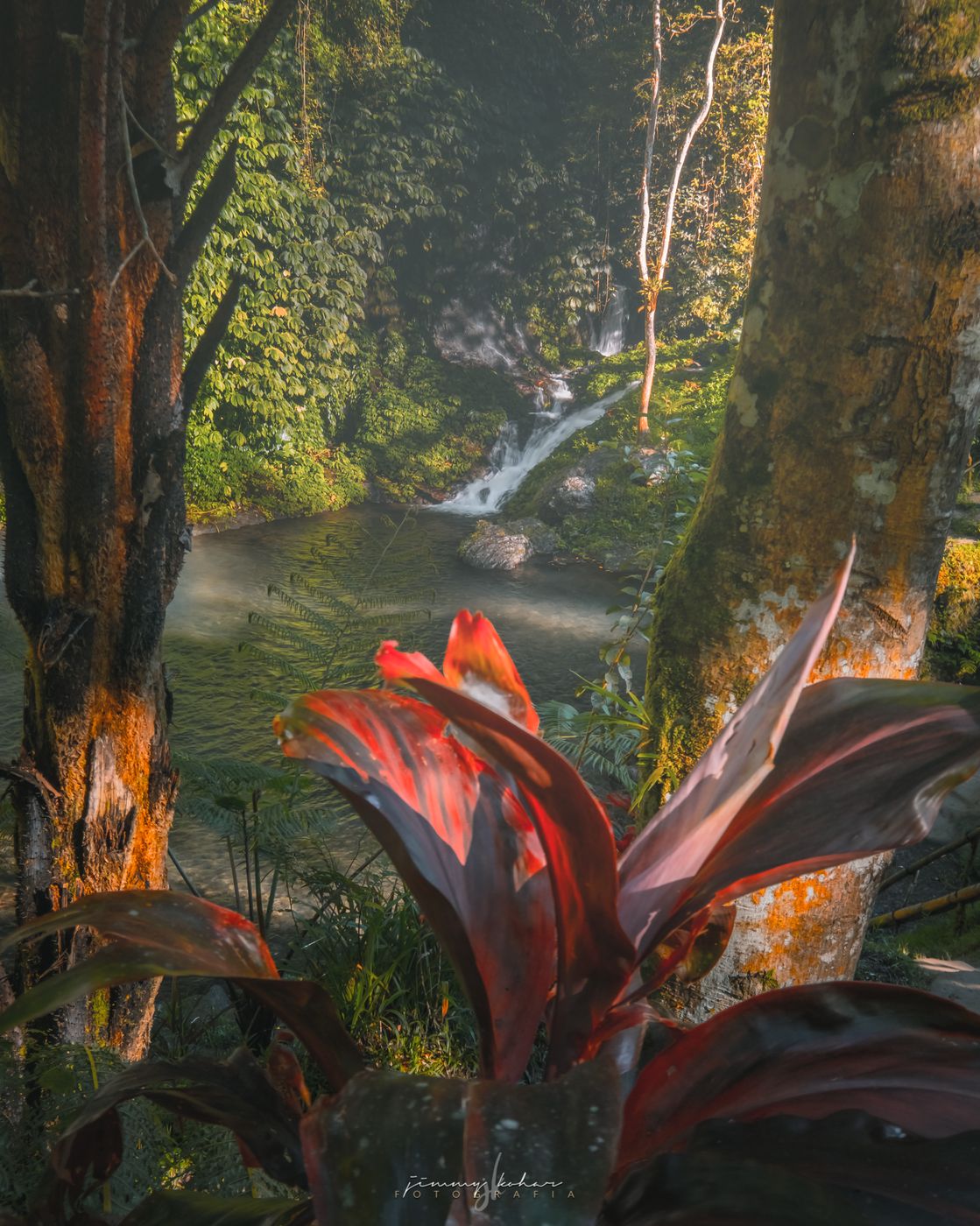 Banyumala Waterfall, Indonesia