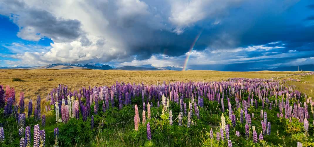 Braemar Road, Lake Tekapo