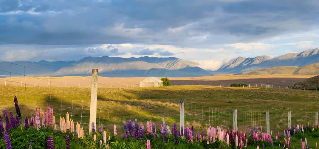 Braemar Road, Tekapo