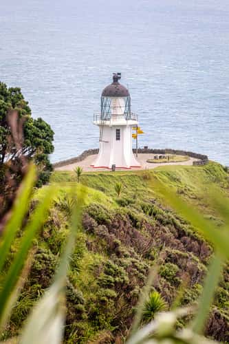 Seat and path to Cape Reinga, Nortland