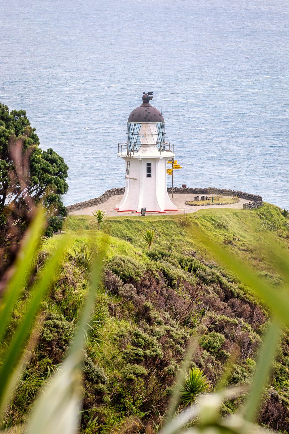 Seat and path to Cape Reinga, Nortland, New Zealand