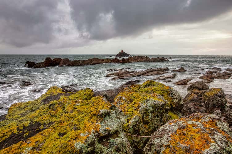 Coloured rocks, Mount Maunganui, North Island