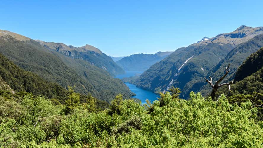 Doubtful Sound Lookout