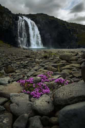 Fossfjördur Waterfall