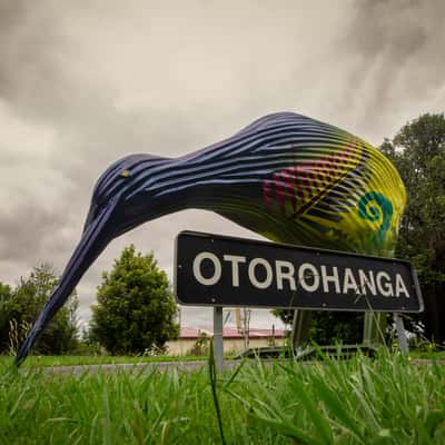 Giant coloured Kiwi Otorohanga, North Island, New Zealand