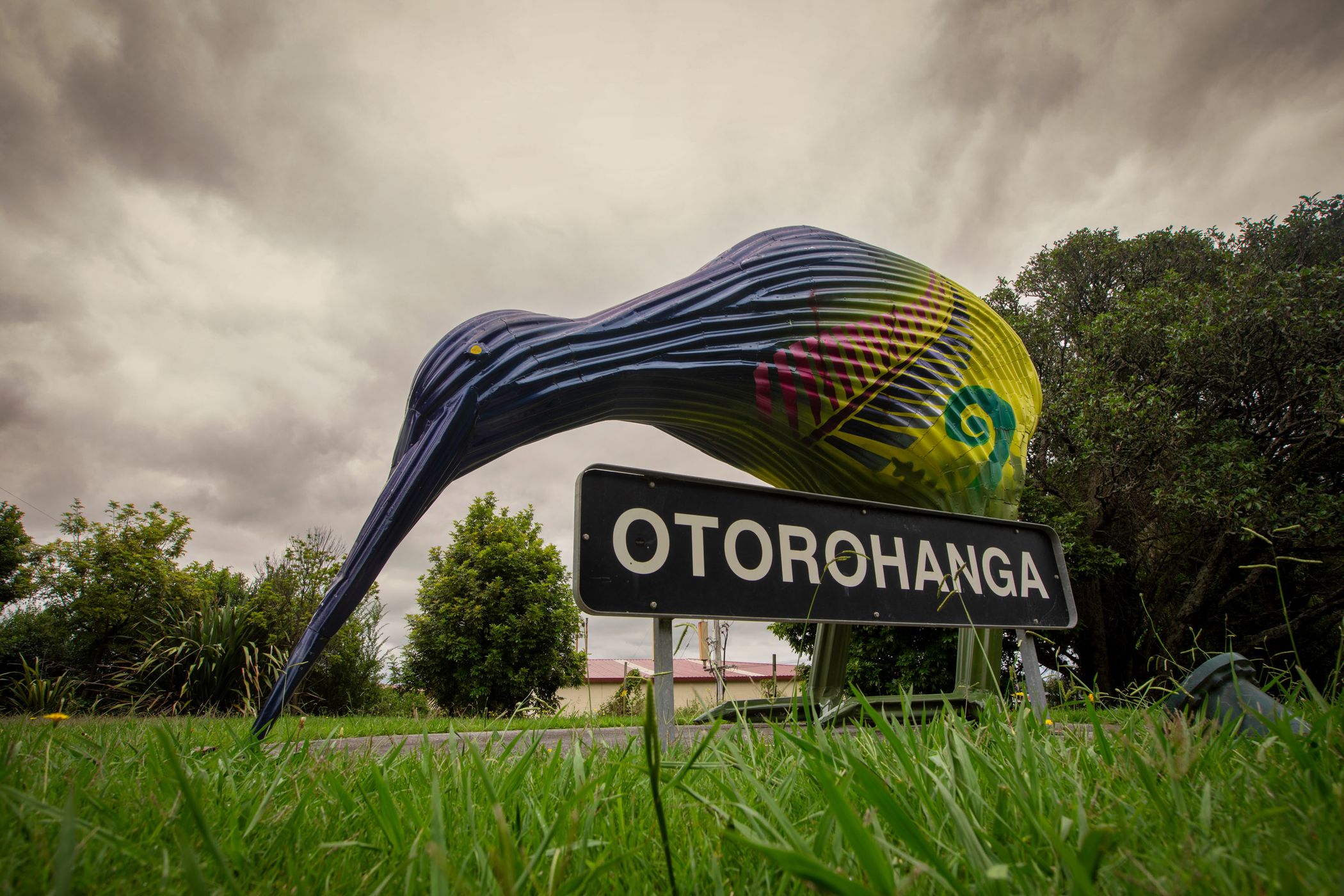 Giant coloured Kiwi Otorohanga, North Island, New Zealand