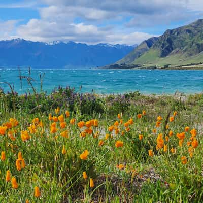 Gladstone, Lake Hawea, New Zealand