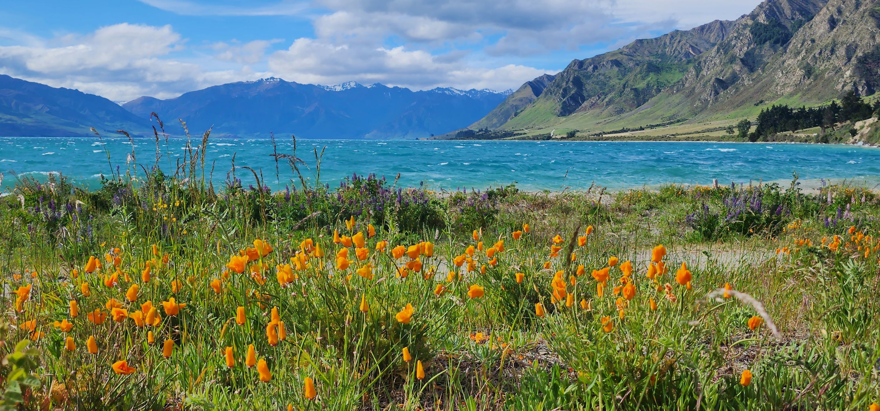 Gladstone, Lake Hawea, New Zealand