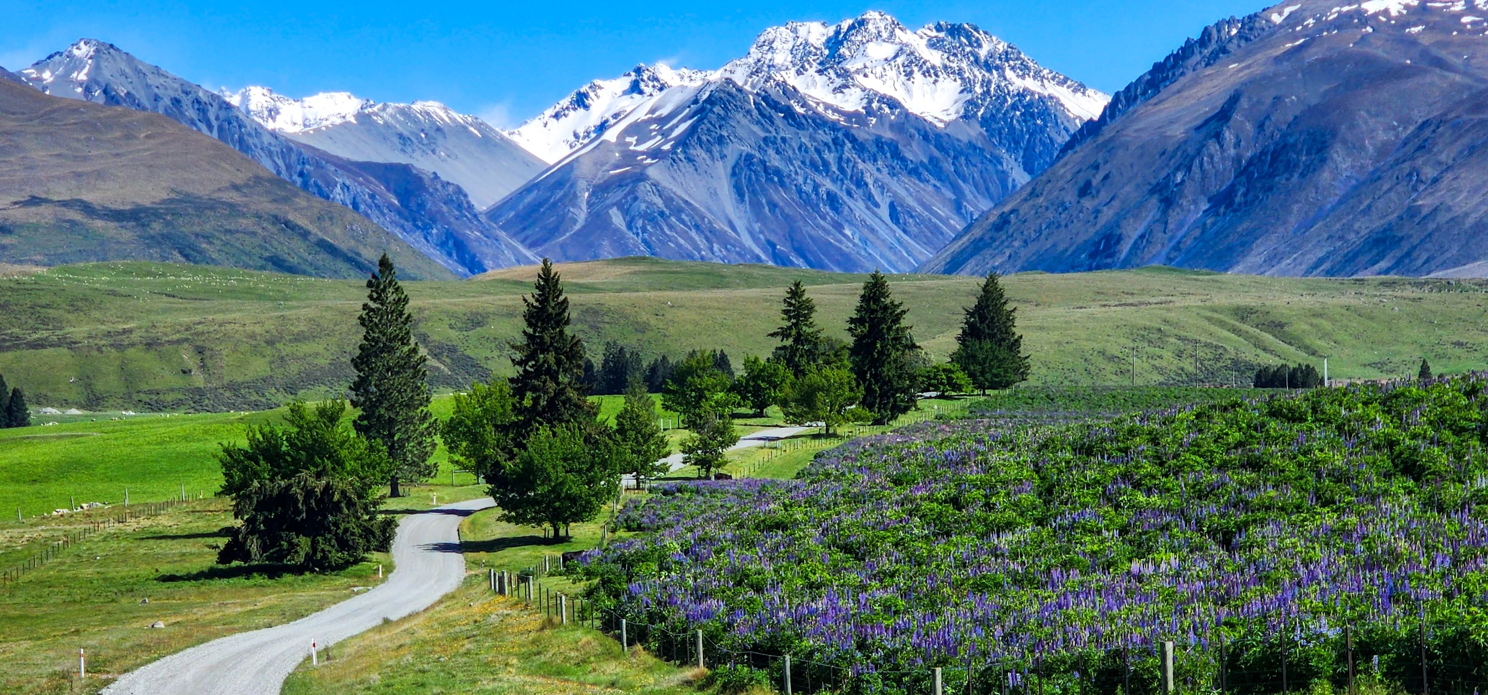 Godley Peaks Road, Tekapo, New Zealand