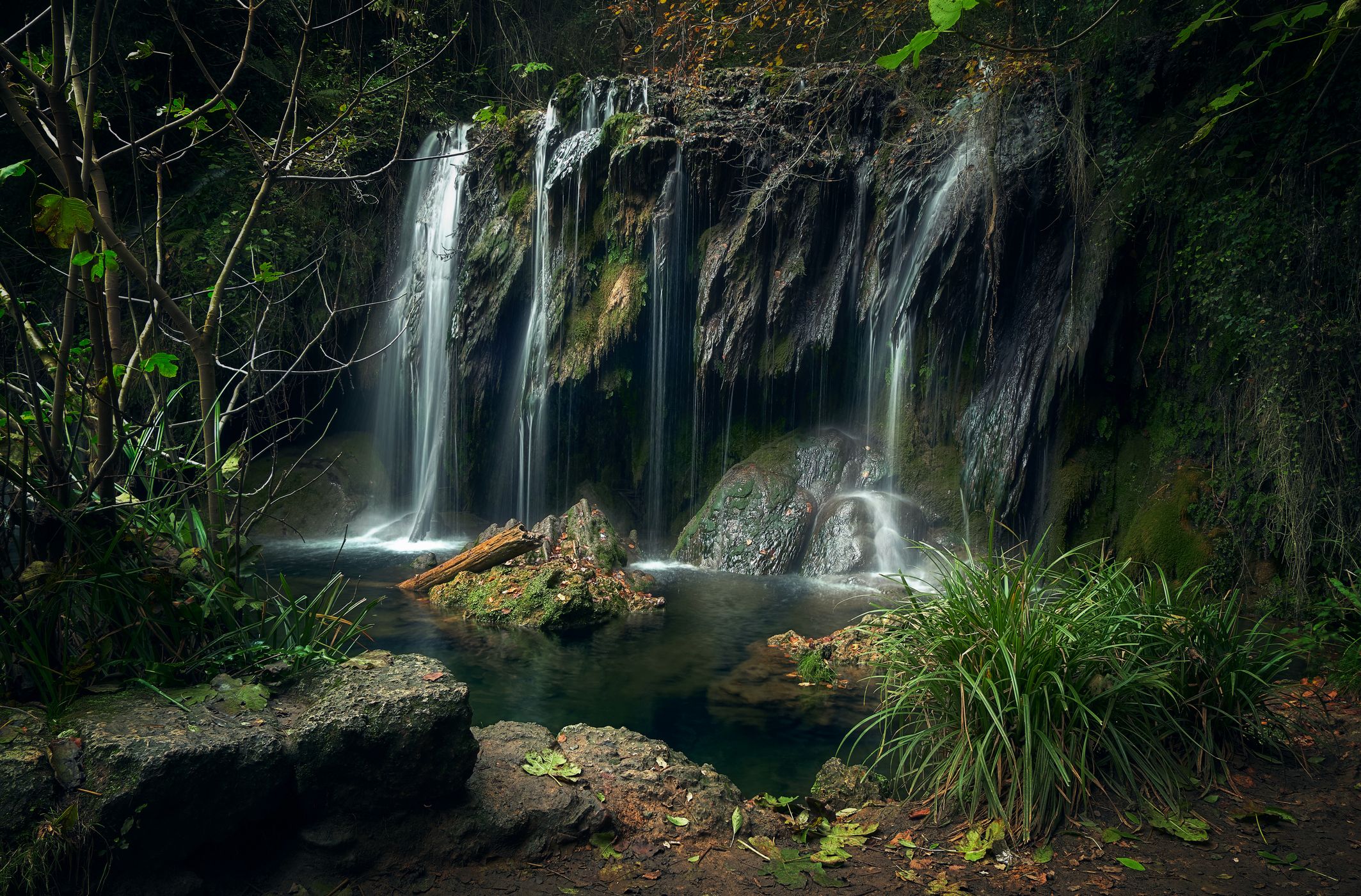Gorg del Molí dels Murris, Spain