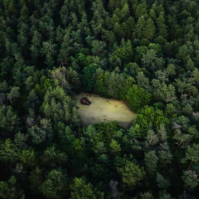 Head of the sleeping giant, Belgium