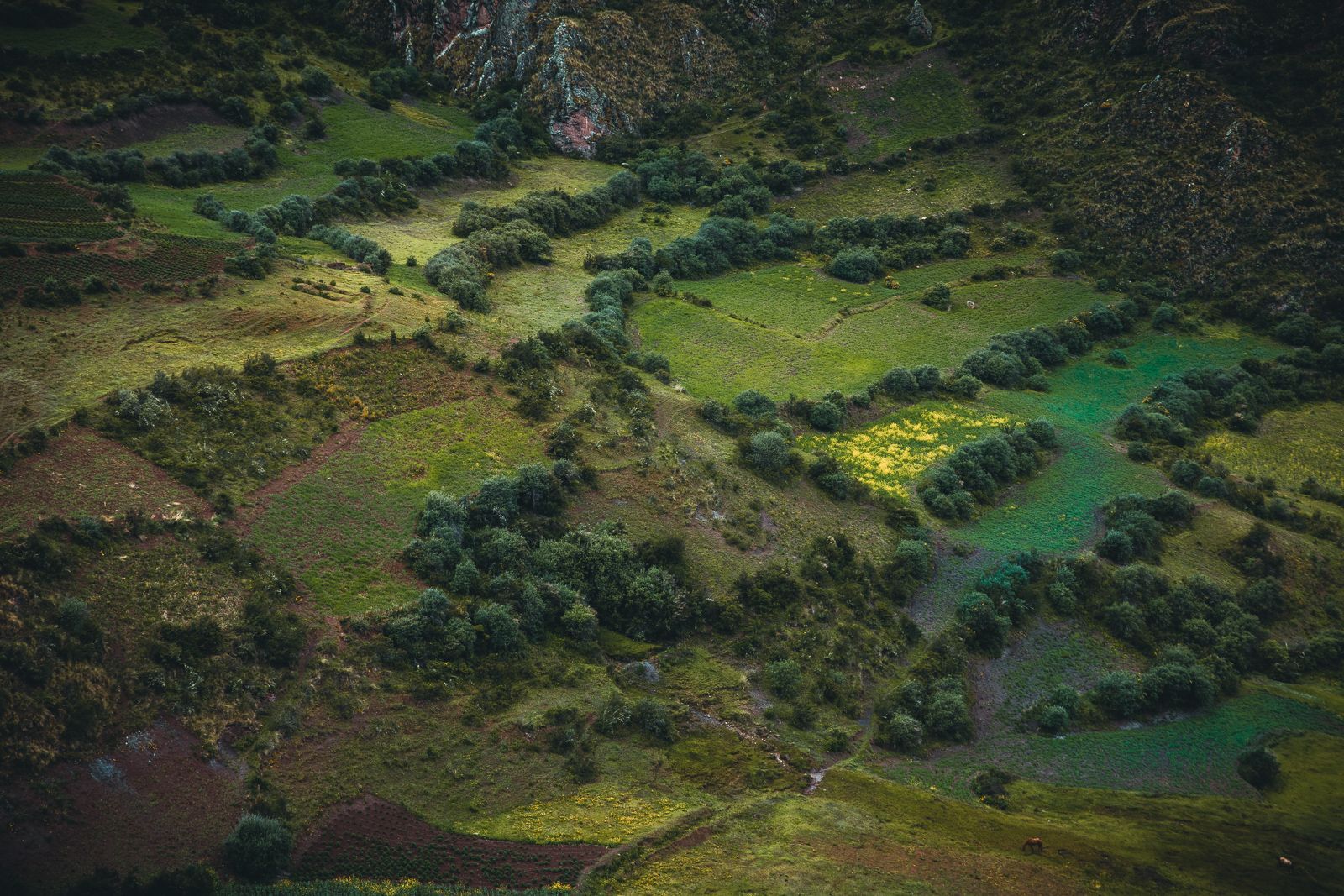 Hiking trail to Inti Punku near Wispan, Peru