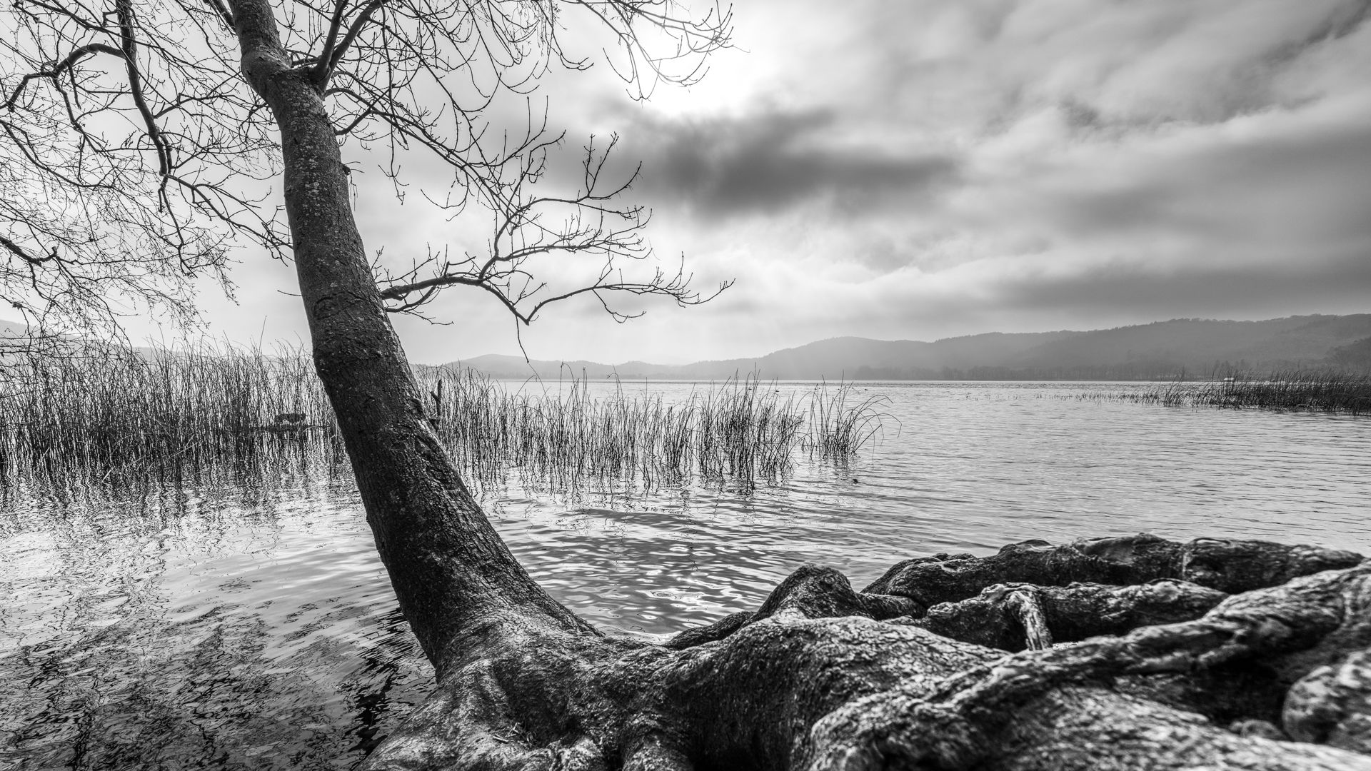 Laacher See, Aussichtspunkt, Germany