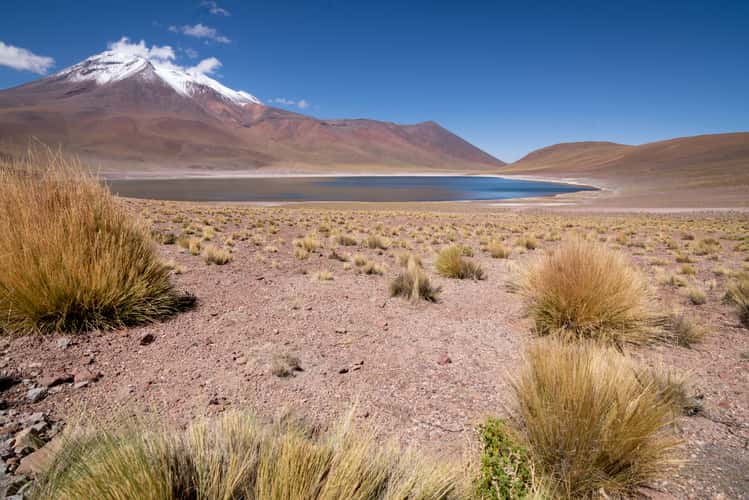 Laguna Miniques Overview, Lagunas Miñiques