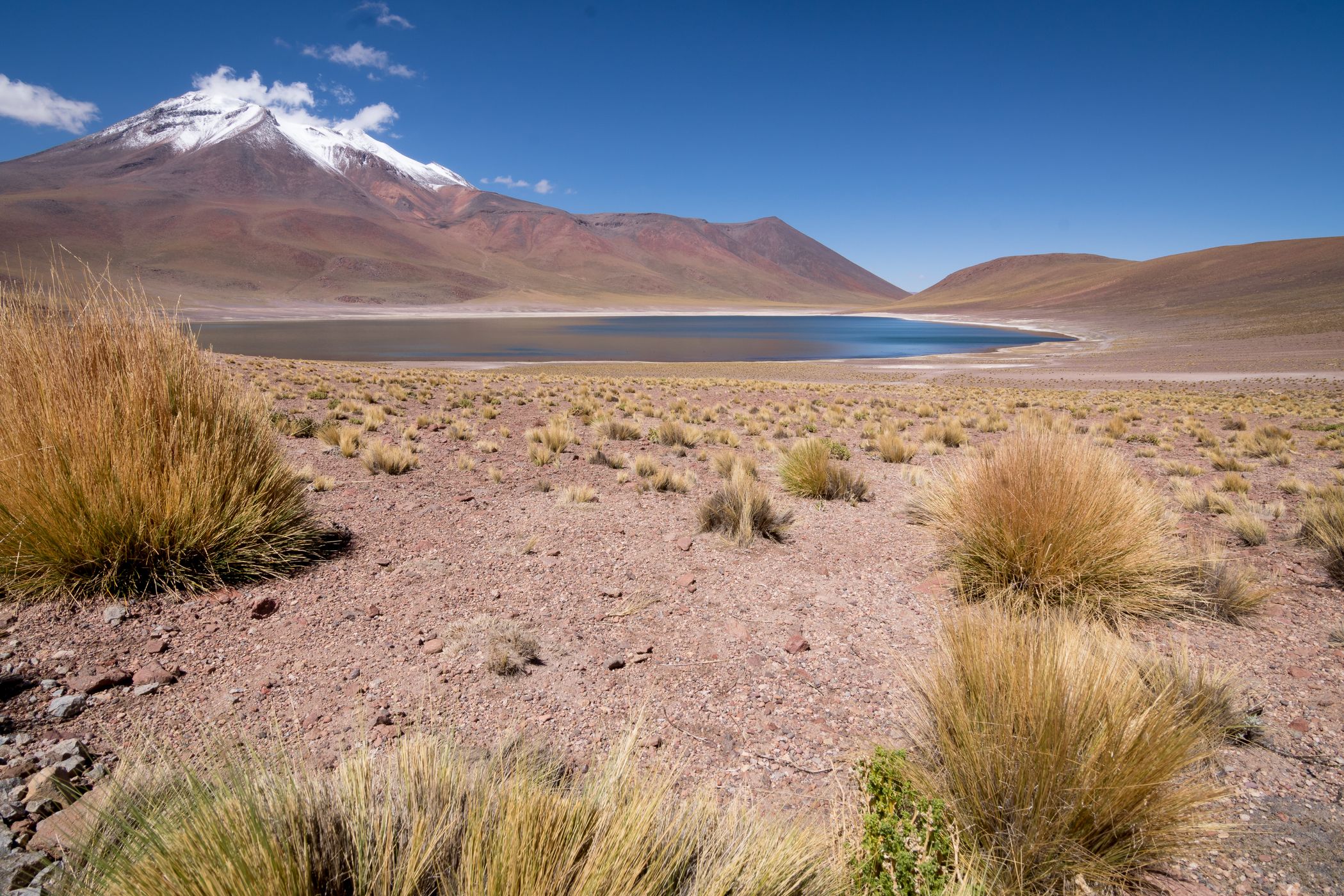 Laguna Miniques Overview, Lagunas Miñiques, Chile
