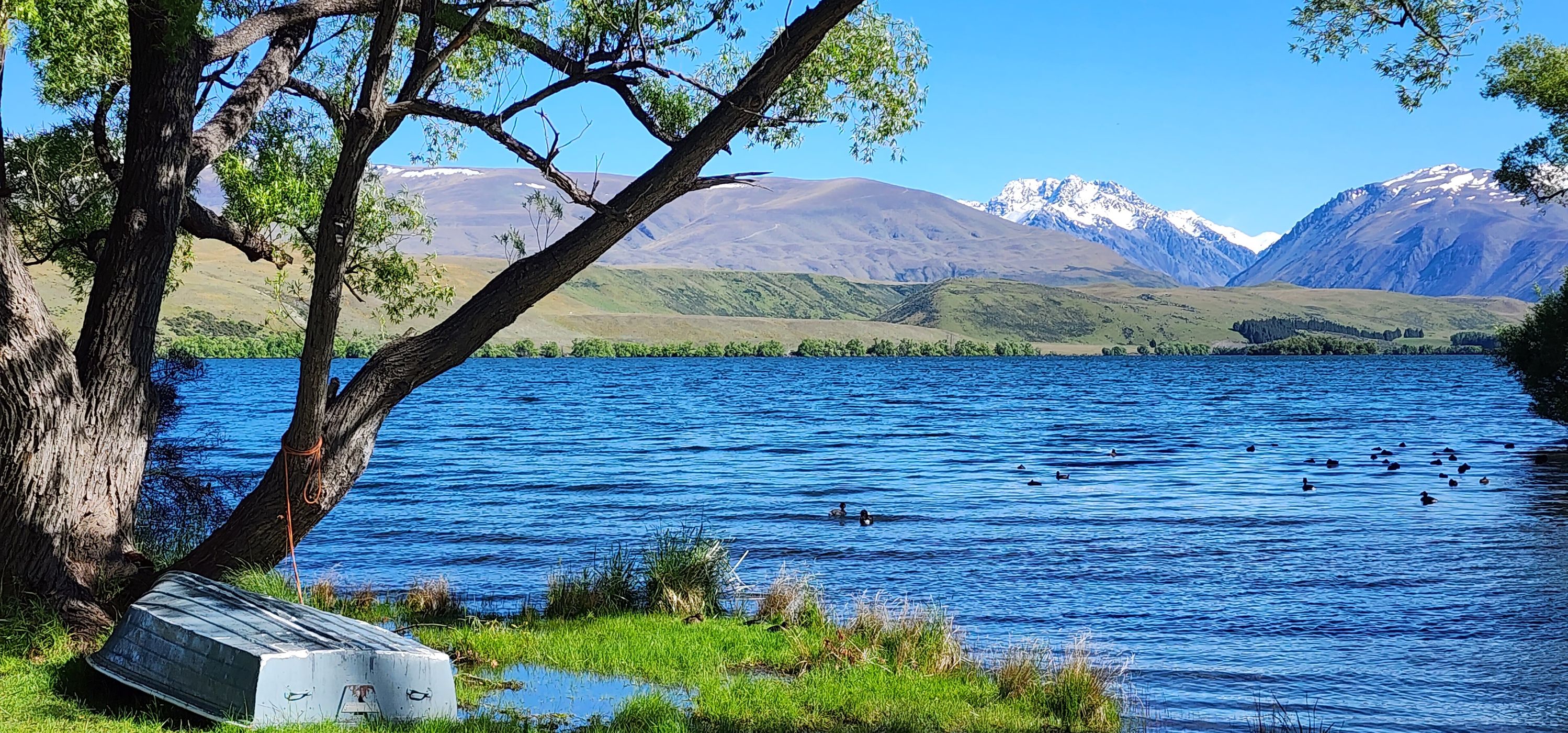 Lake Alexandrina, New Zealand