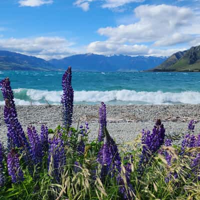 Lake Hawea, New Zealand