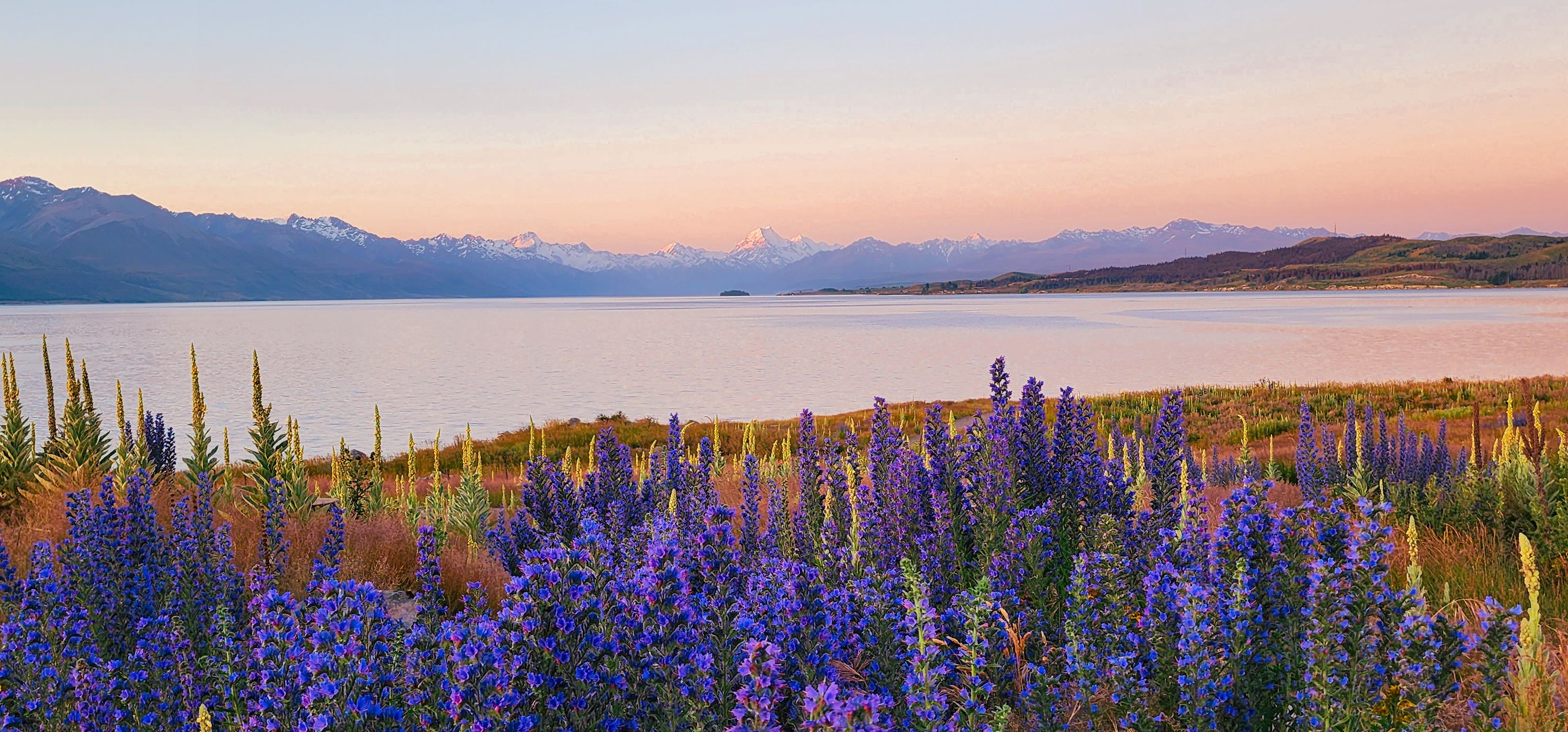 Lake Pukaki Viewpoint, Hayman Road, New Zealand