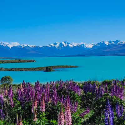 Lake Tekapo from Godley Peaks Road, New Zealand