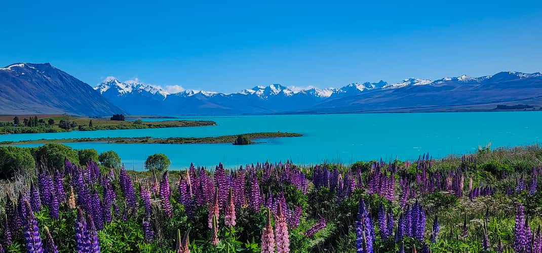 Lake Tekapo from Godley Peaks Road