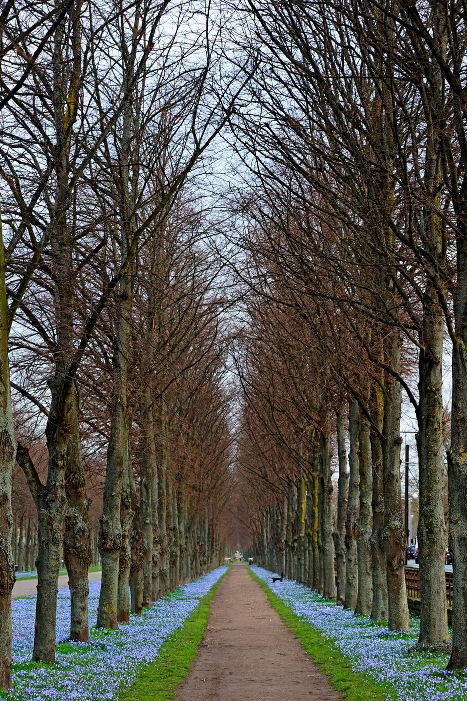 Herrenhäuser Allee, Hanover, Germany