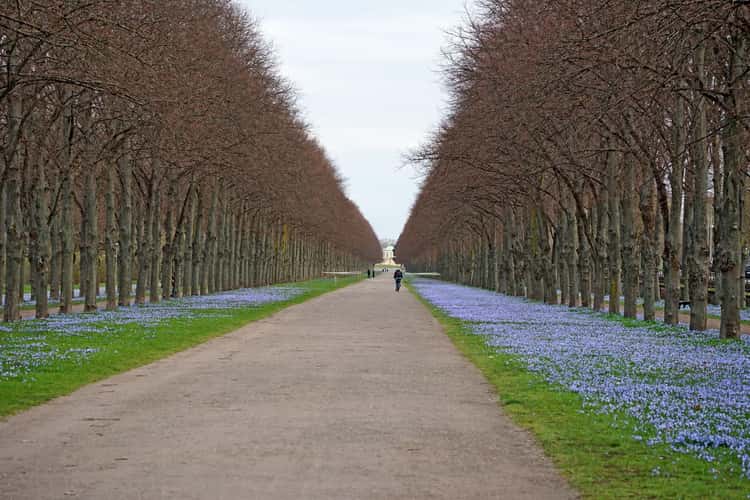 Herrenhäuser Allee, Hanover