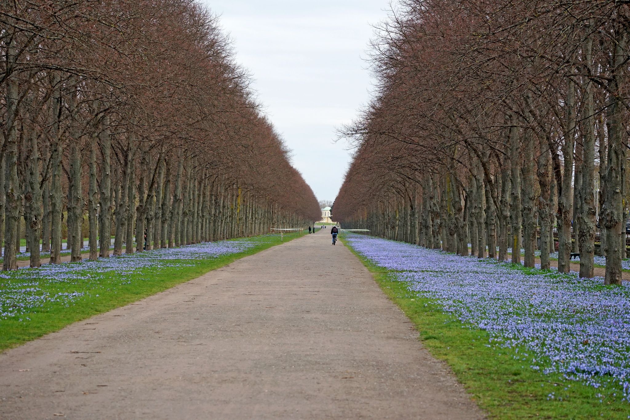 Herrenhäuser Allee, Hanover, Germany