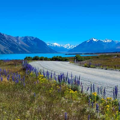 Lilybank Road, Lake Tekapo, New Zealand