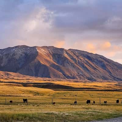 Lilybank Road, Lake Tekapo, New Zealand