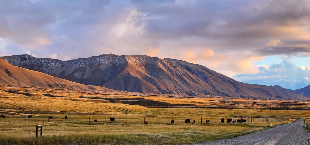 Lilybank Road, Lake Tekapo