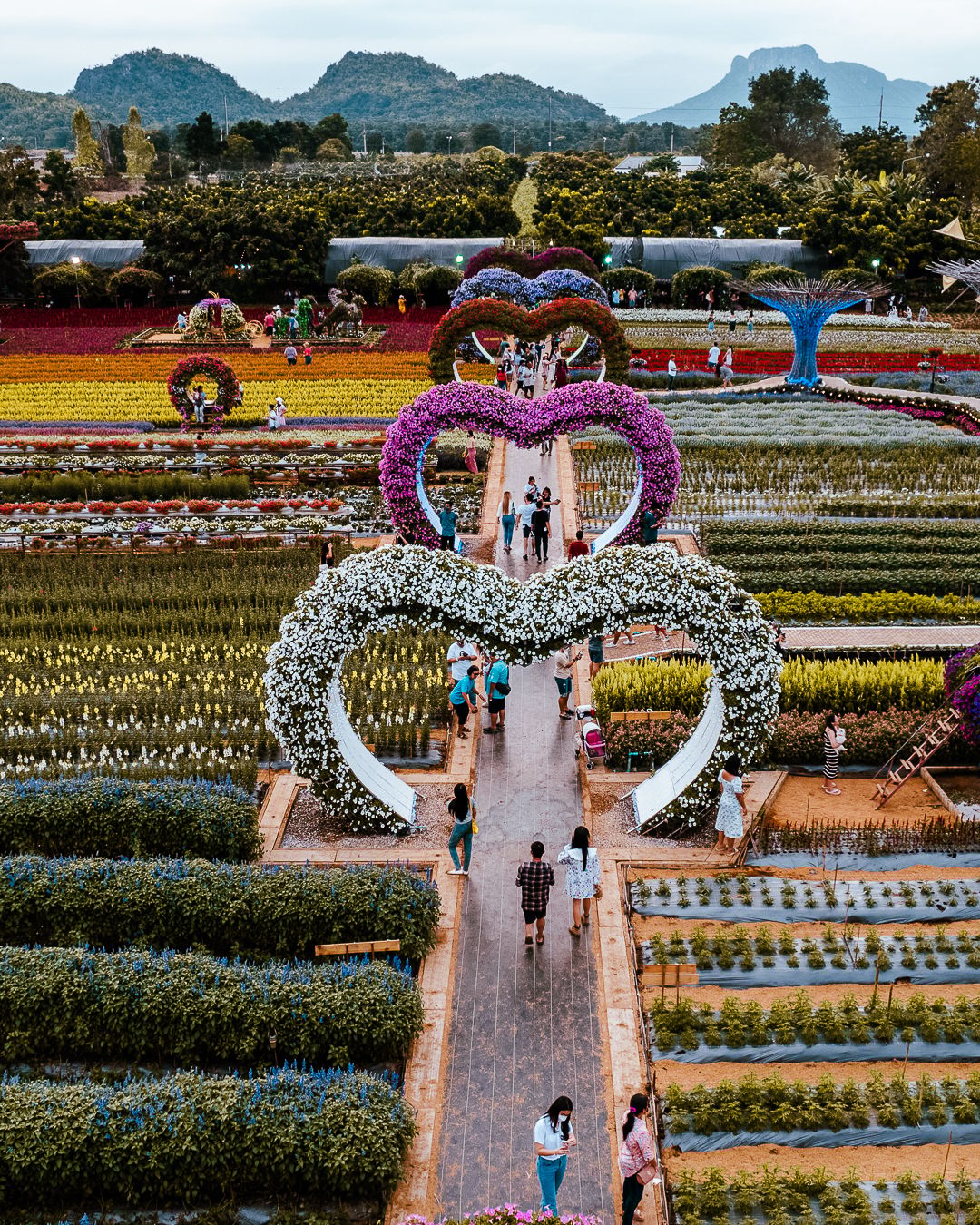 Maple Gardens [Drone], Thailand