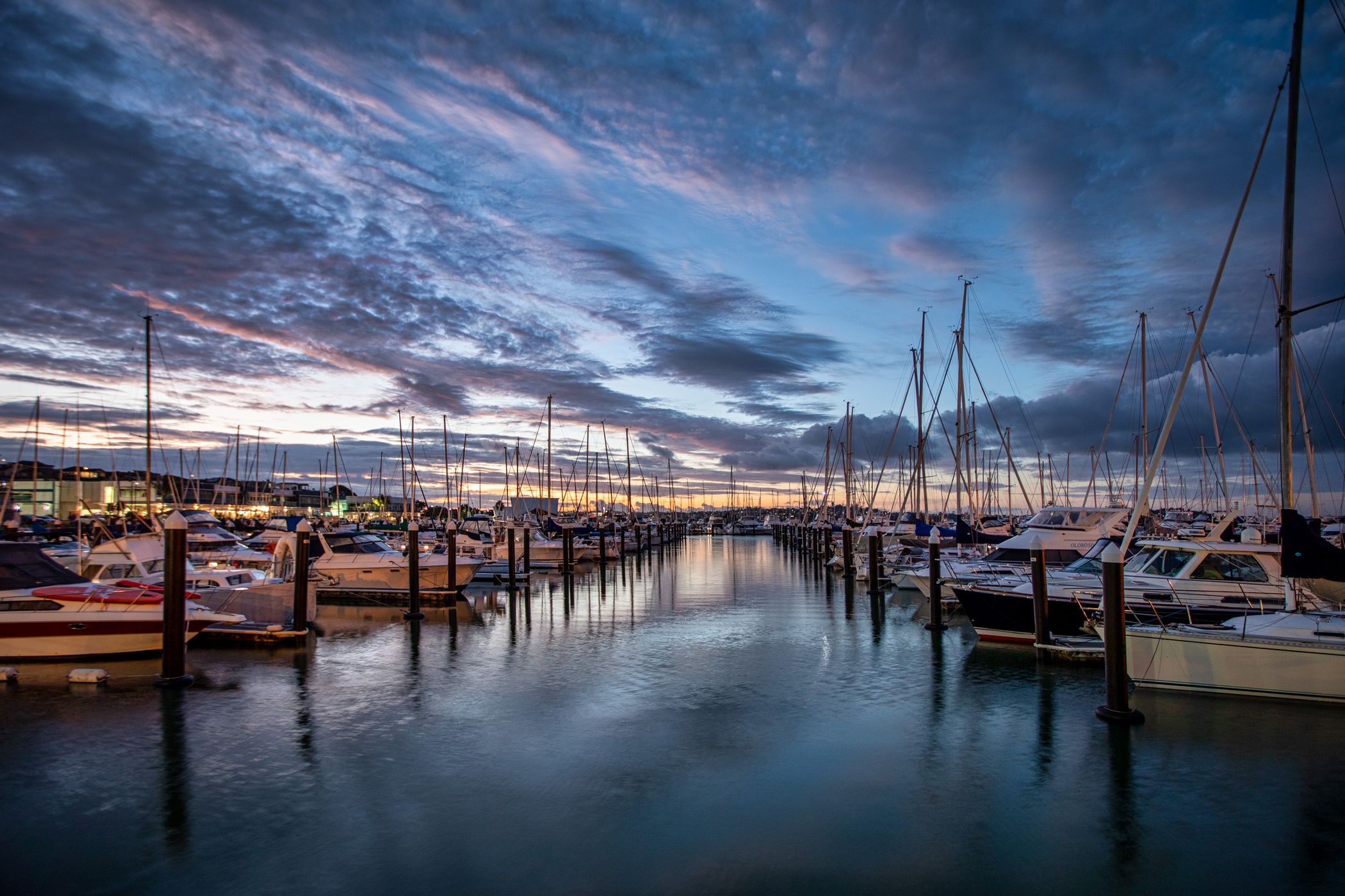 Marina, Half Moon Bay, Auckland, North Island, New Zealand