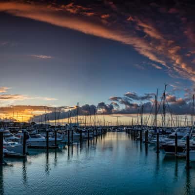 Marina, Half Moon Bay, Auckland, North Island, New Zealand