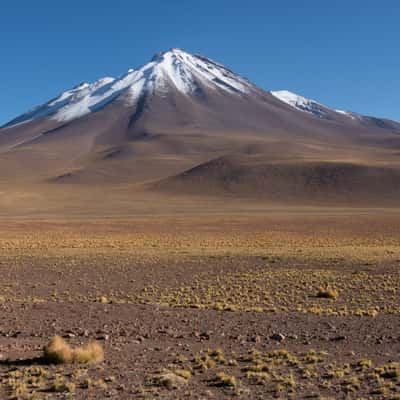 Miñiques from Ruta 23, Chile