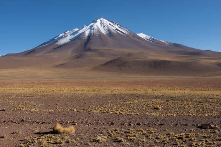 Miñiques from Ruta 23