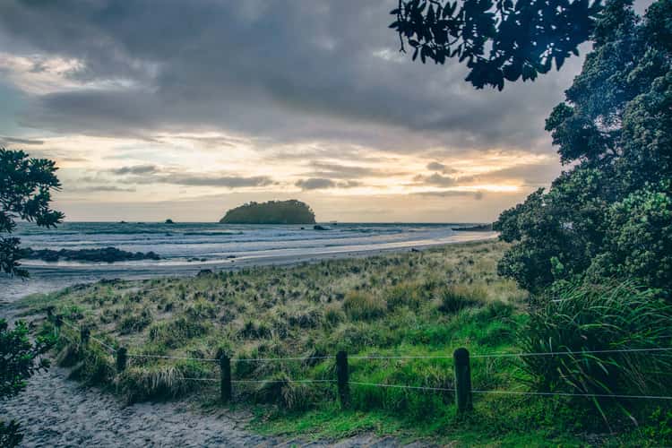 Motuotau Island, Mt Maunganui, Tauranga, North Island