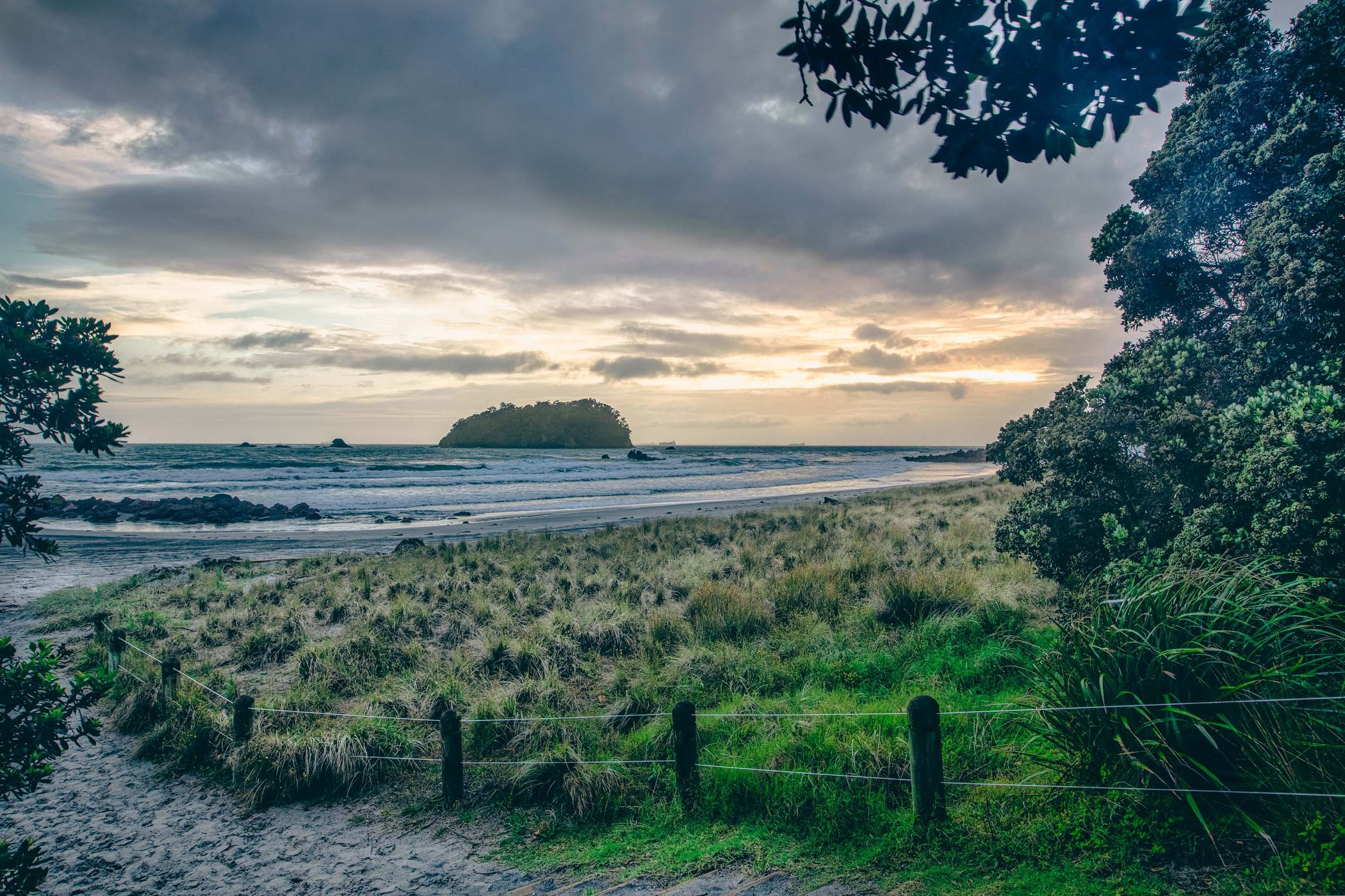 Motuotau Island, Mt Maunganui, Tauranga, North Island, New Zealand